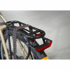 Batavus Senz Exclusive