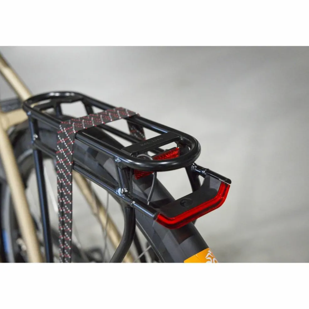 Batavus Senz Exclusive