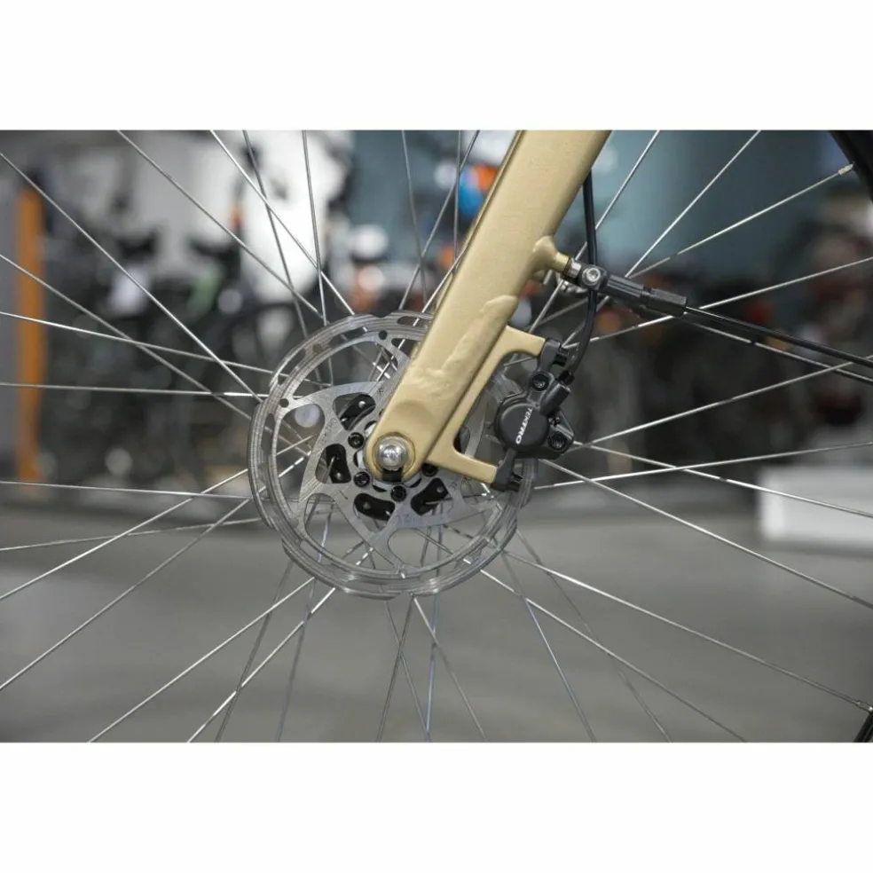 Batavus Senz Exclusive