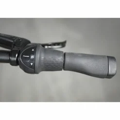 Batavus Senz Exclusive