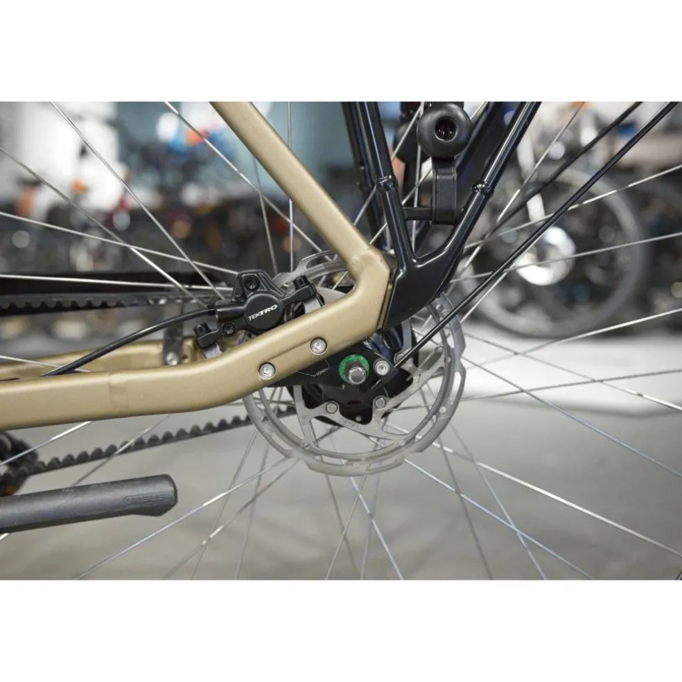 Batavus Senz Exclusive