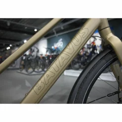 Batavus Senz Exclusive