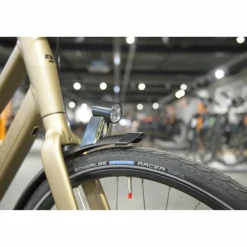 Batavus Senz Exclusive