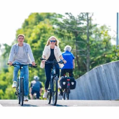 BBB Cycling BBM-05 CityView Speed Pedelec Fietsspiegel