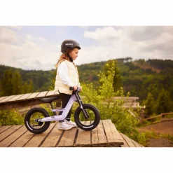 BERG Biky Cross 12 Inch Handrem Loopfiets 2026