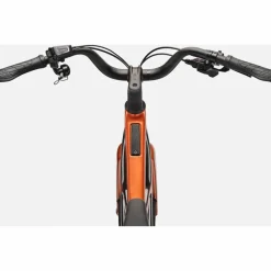 Cannondale FlyingV 2 2027