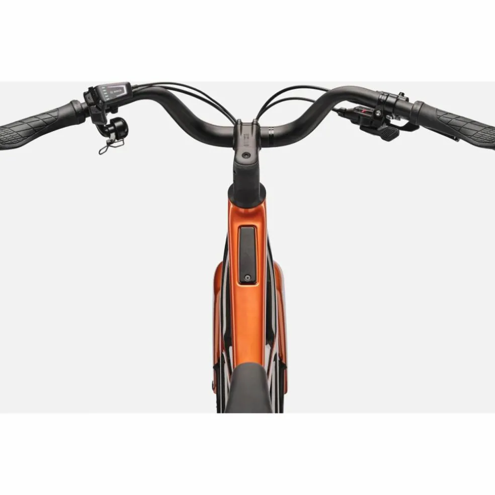 Cannondale FlyingV 2 2027