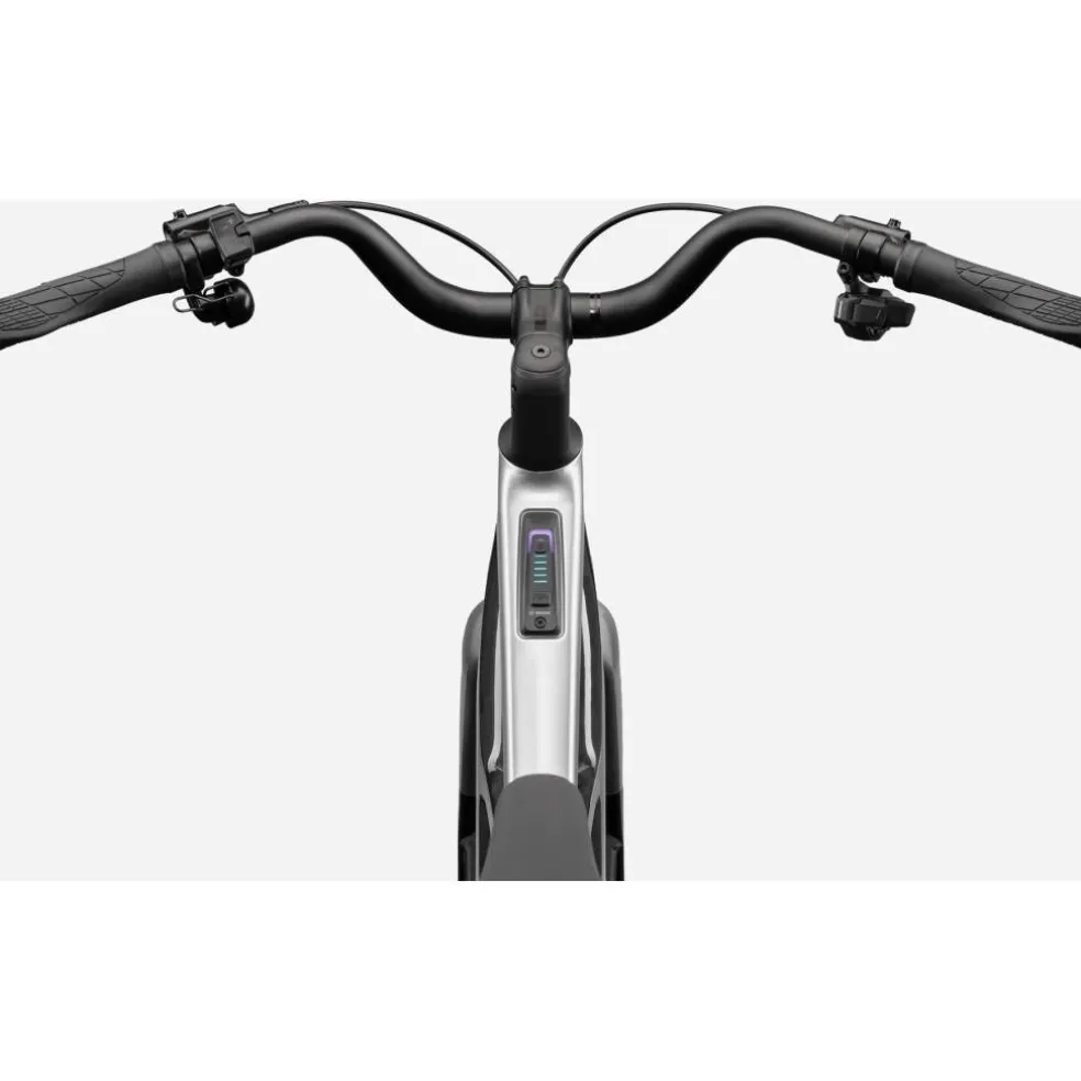 Cannondale FlyingV 1 2027