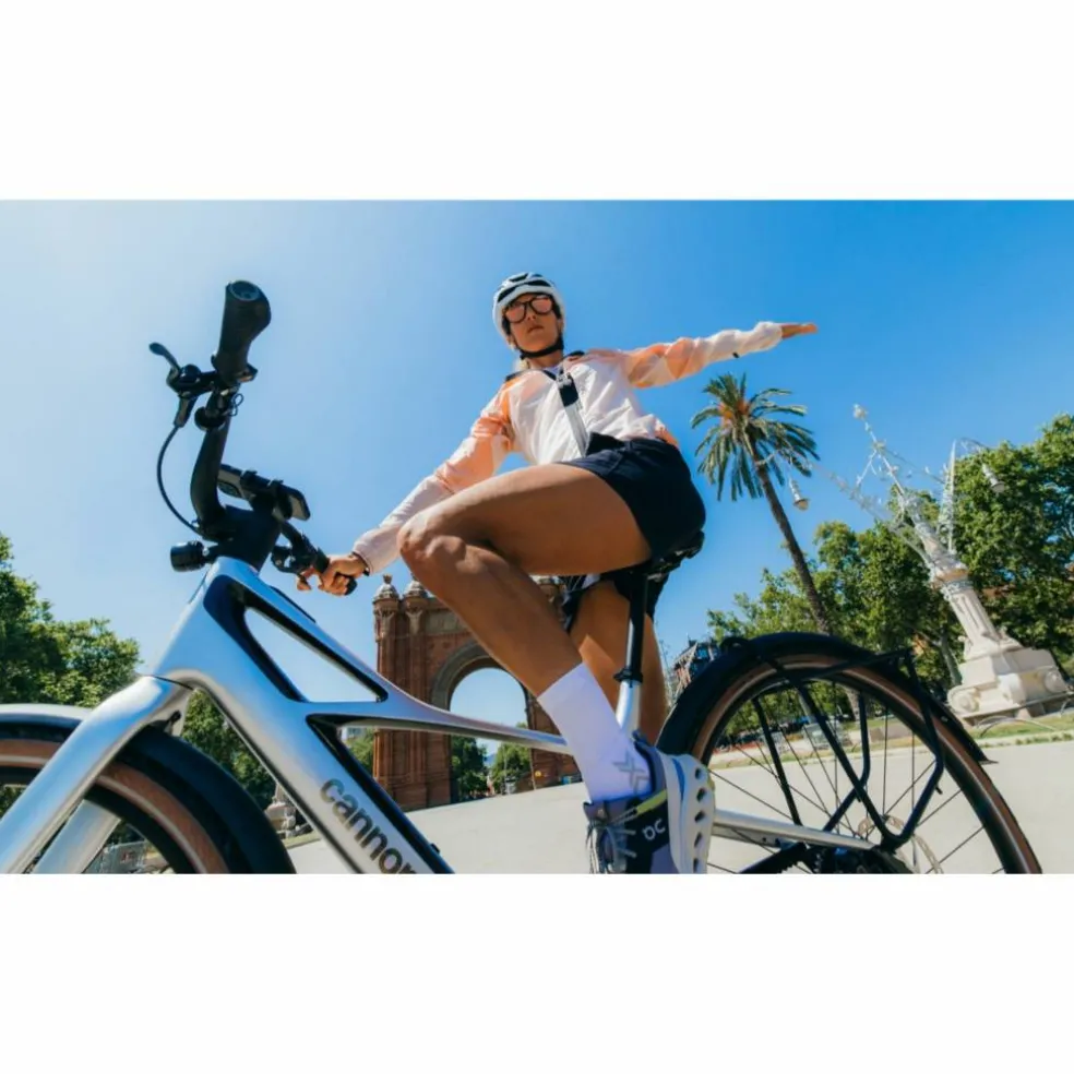 Cannondale FlyingV 1 2027