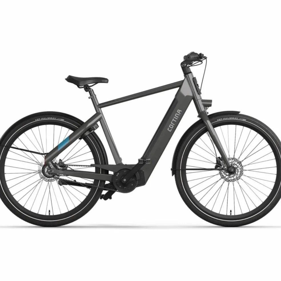 Cortina E-Blau 2025