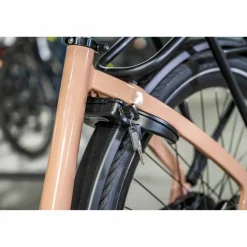 Cortina E-Common Family Integrated 2026