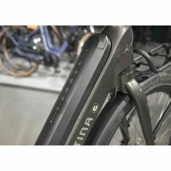 Cortina E-Common Integrated 2025