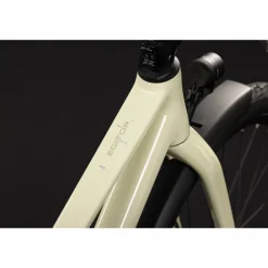 CUBE Editor Pro FE 2027