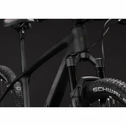 CUBE Reaction C:62 Pro 2027