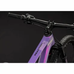 CUBE Reaction C:62 Pro 2027