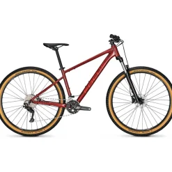 Focus Whistler 3.7 2025