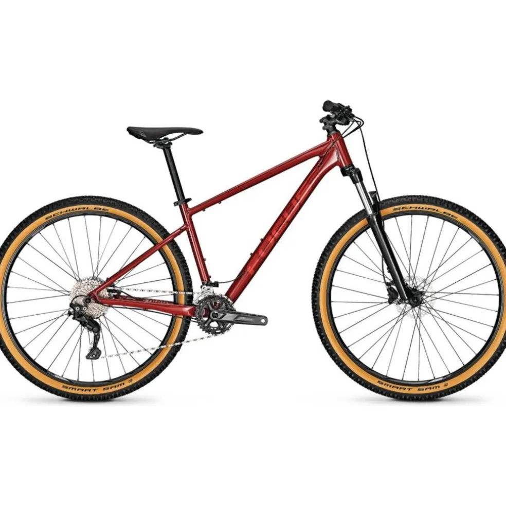 Focus Whistler 3.7 2025