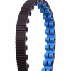 Gates CDX Carbon Drive Tandriem