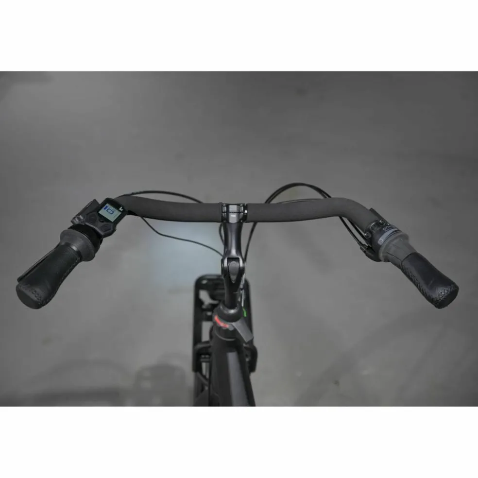 Gazelle Bloom C310 HMS 2027
