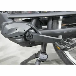 Gazelle Bloom C310 HMS 2027