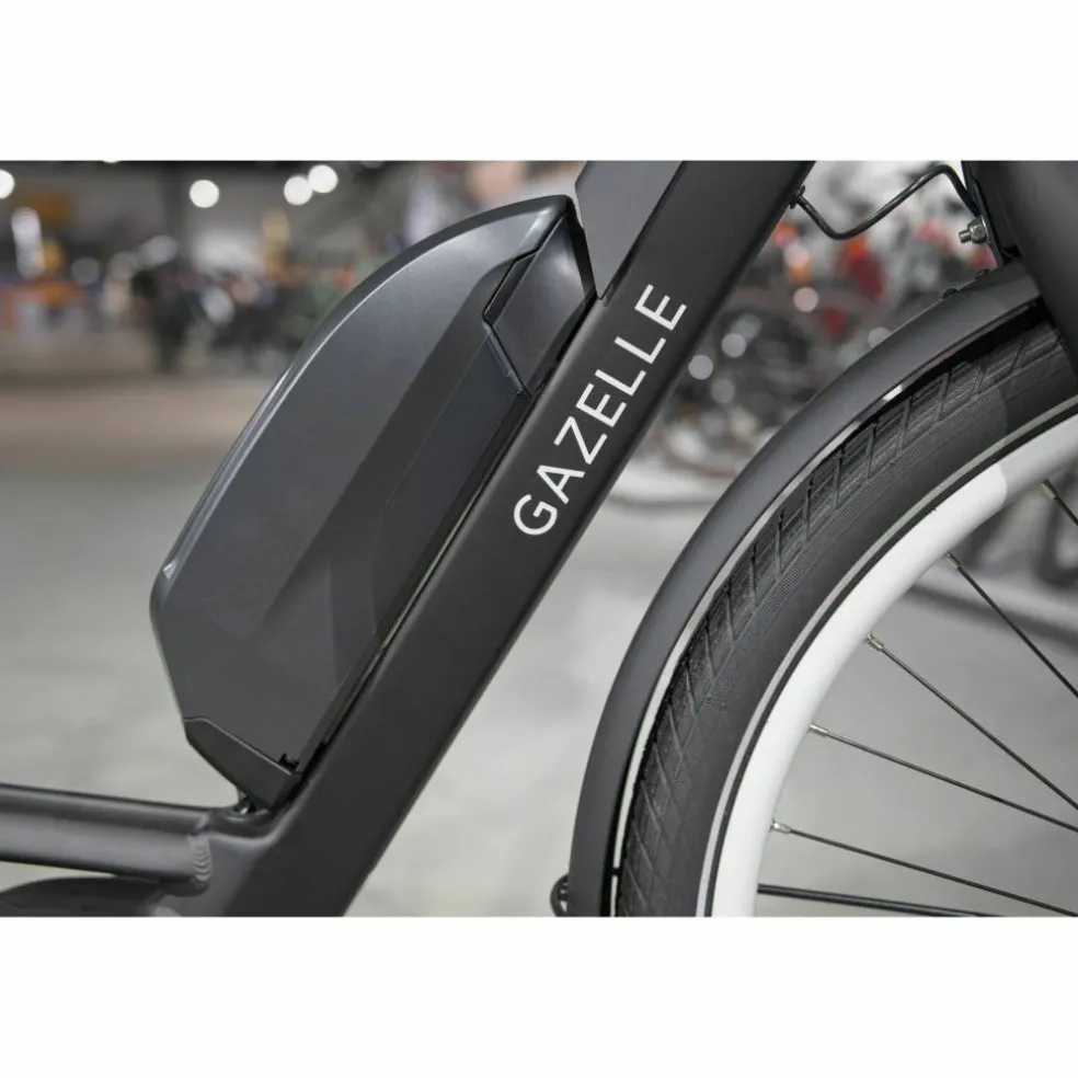 Gazelle Bloom C310 HMS 2027