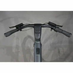 Gazelle Cayo C310 2027