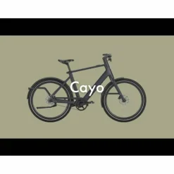 Gazelle Cayo C1 2027