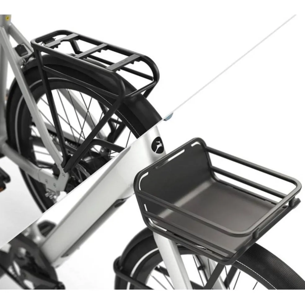 Gazelle Cayo Dragerset