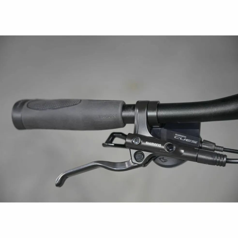 Gazelle Chamonix T20 2027