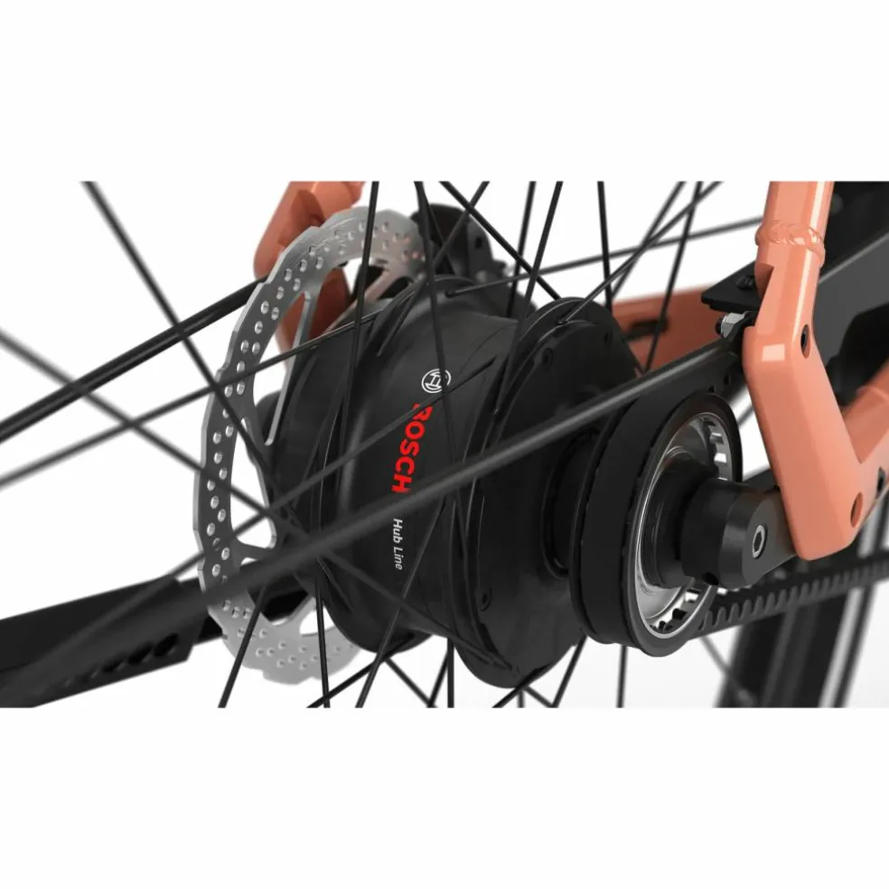 Gazelle Curb C1 2027