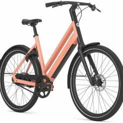 Gazelle Curb C1 2027