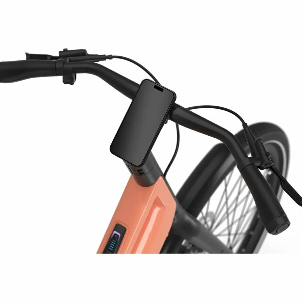 Gazelle Curb C1 2027
