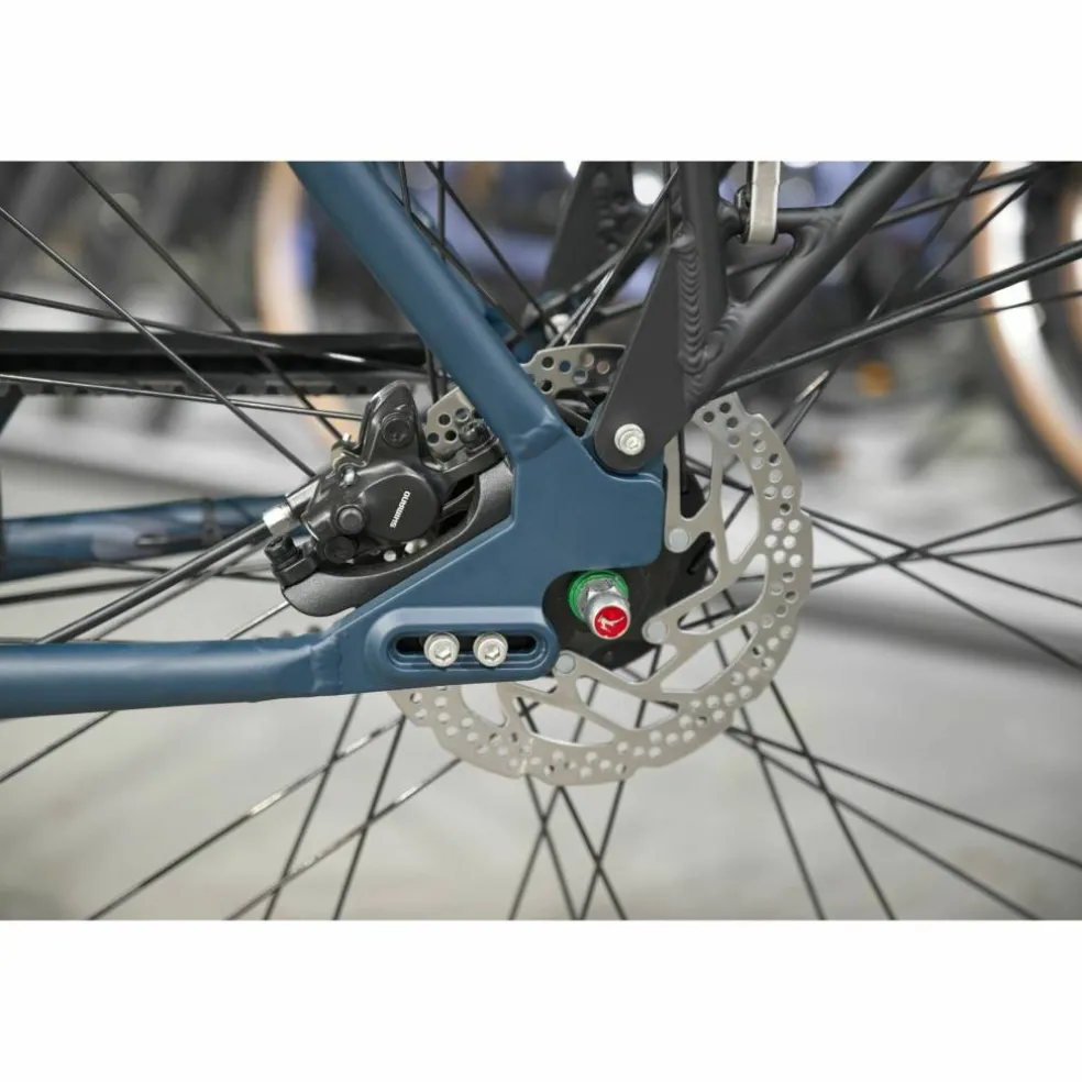 Gazelle Esprit T7 Belt 2027