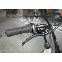 Gazelle HeavyDutyNL T7 2027