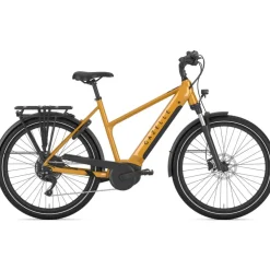 Gazelle Medeo T10 HMB 2026