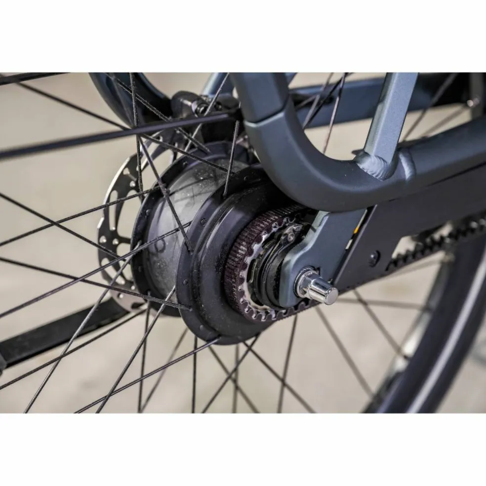 Gazelle Ultimate C5+ HMB 2027
