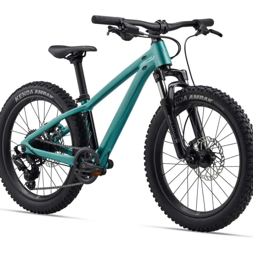 Giant STP 20 FS 2026