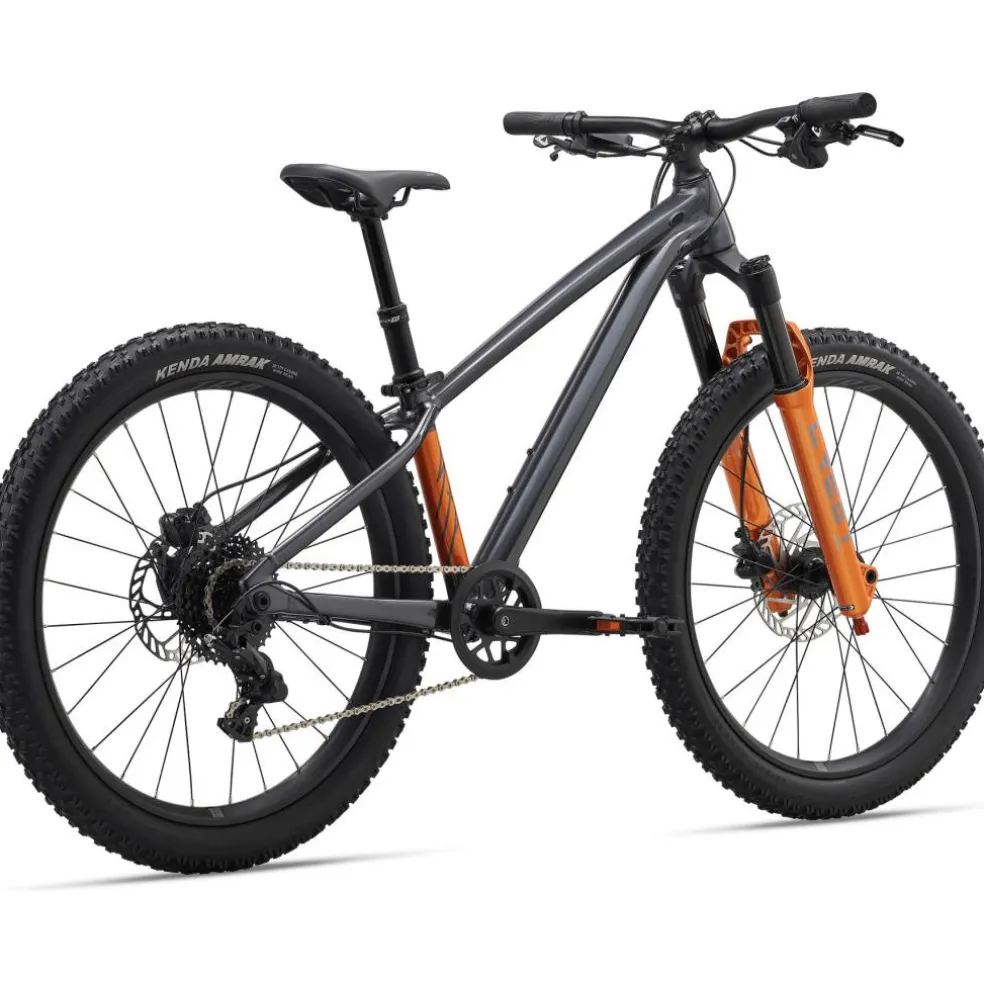 Giant STP 24 FS 2026