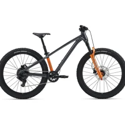 Giant STP 24 FS 2026