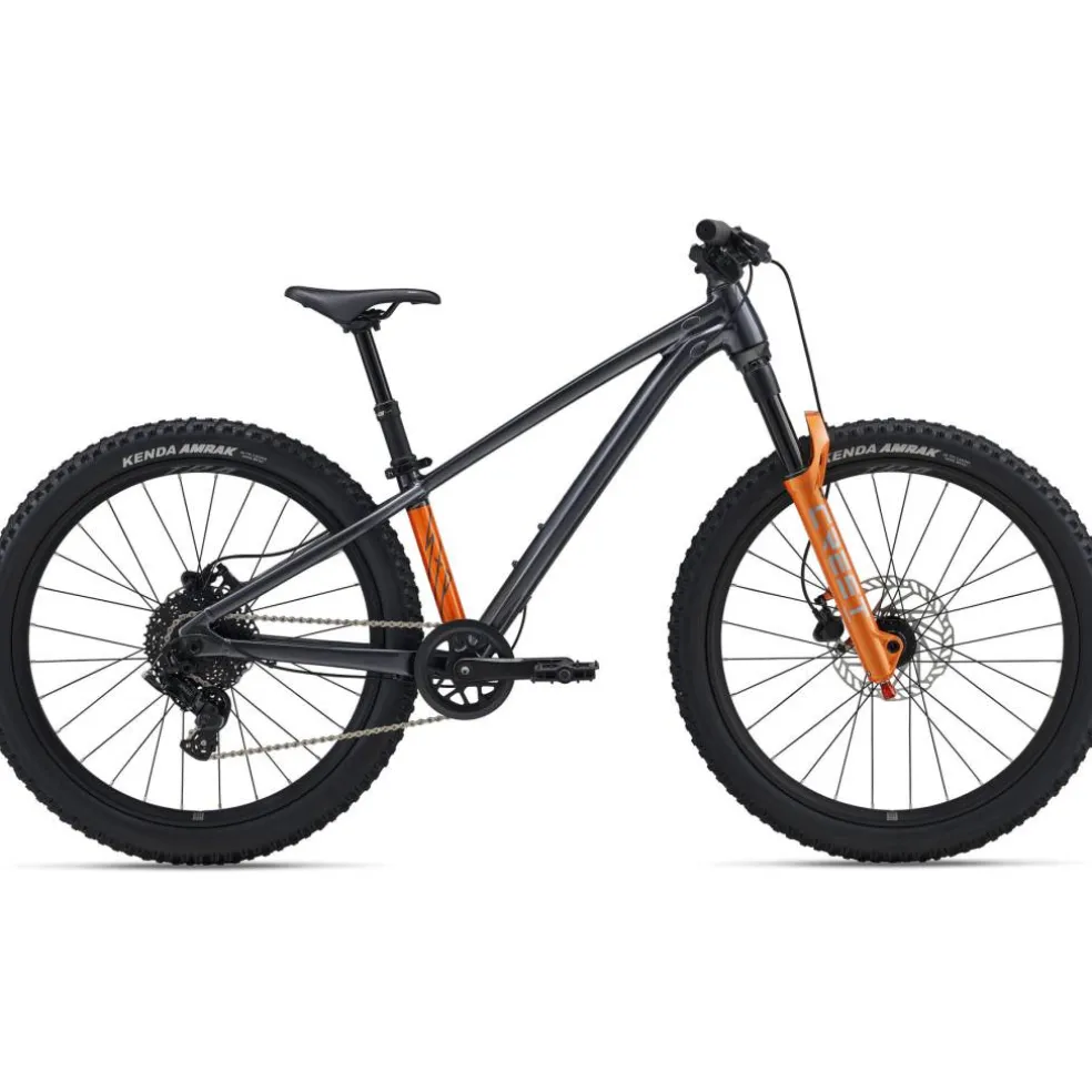 Giant STP 24 FS 2026