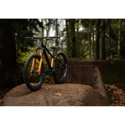 Giant STP 24 FS 2026