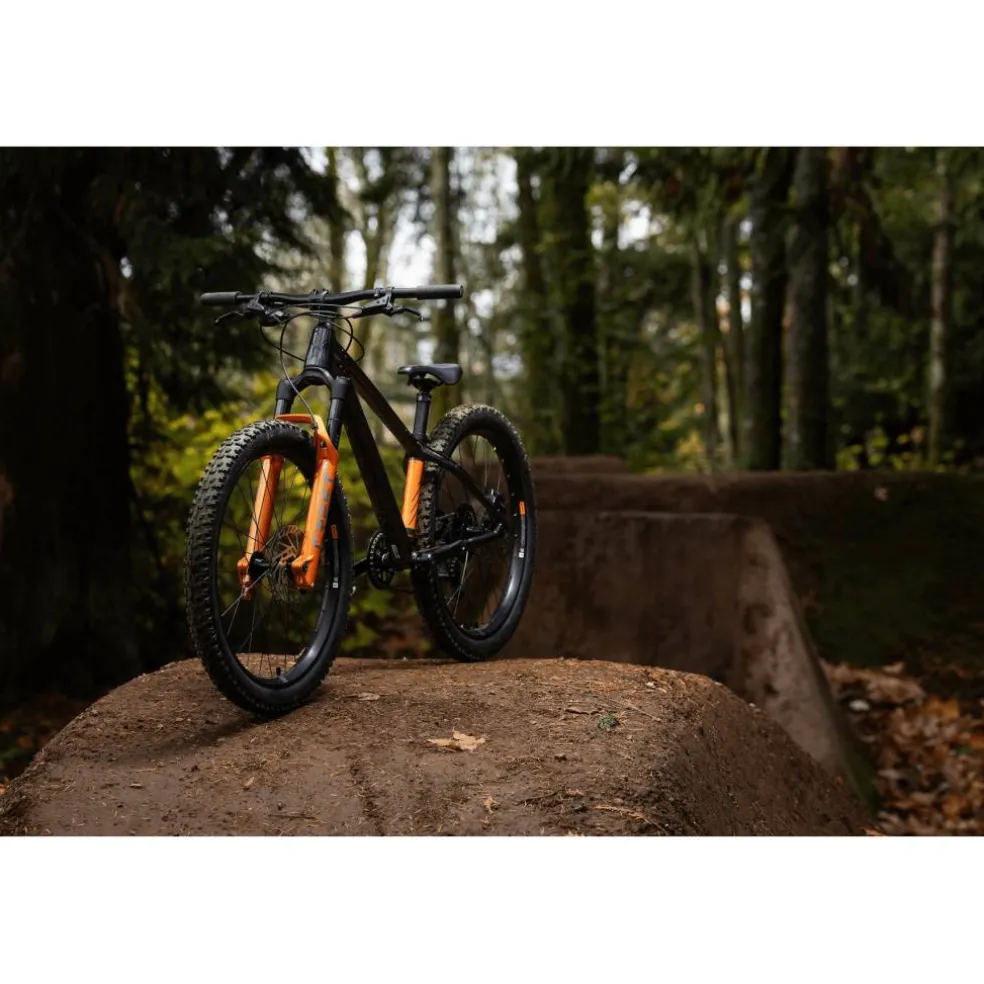 Giant STP 24 FS 2026