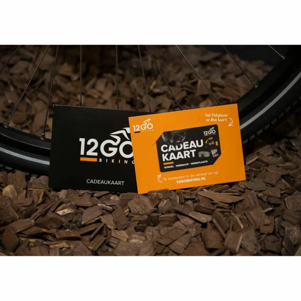 12GO Cadeaukaart 20 euro