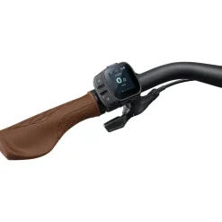 Liv Allure E+ 1 2026