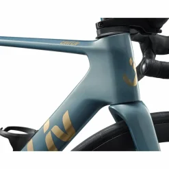 Liv Enviliv Advanced 2 2026