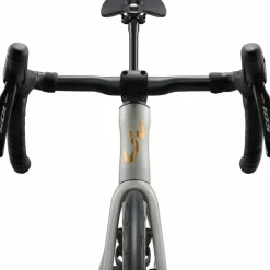 Liv Enviliv Advanced 1 2026
