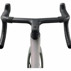 Liv Enviliv Advanced Pro 1 2026
