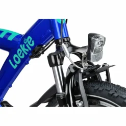 Loekie Snake 20 Inch Jongensfiets 2026
