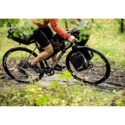 Ortlieb Fork-Pack Frametas