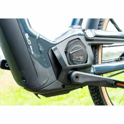 Pegasus Savino EVO 5F Lite Belt